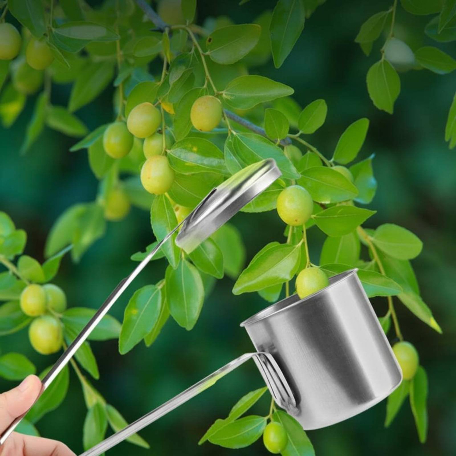 Gardening Tools And Uses - Recolector de Frutas de Acero Inoxidable,