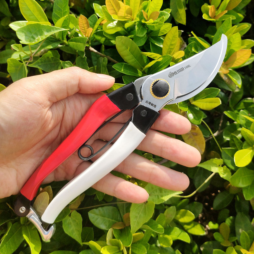 Tijeras de podar Sakawada de T - Gardening Tools Japan reseña y precio