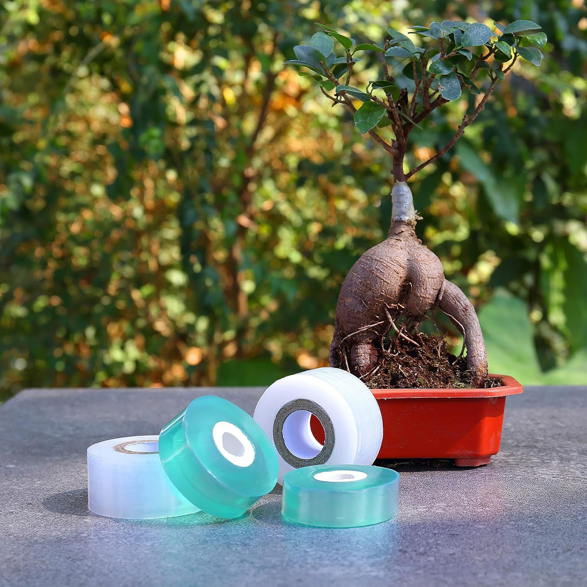 Cinta de injerto autoadhesiva  - Gardening Tools And Uses reseña y precio