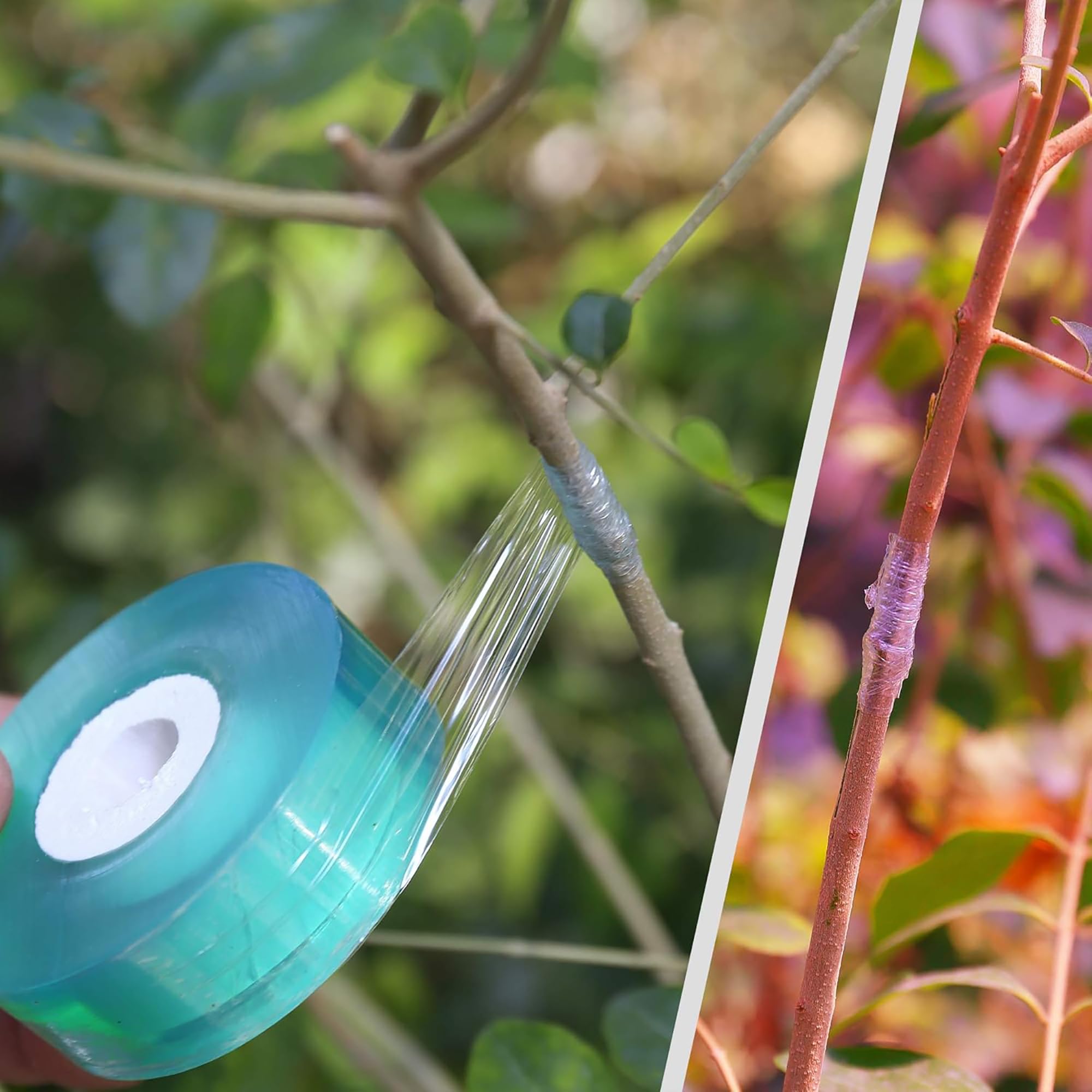 Cinta de injerto autoadhesiva  - Gardening Tools And Uses reseña y precio