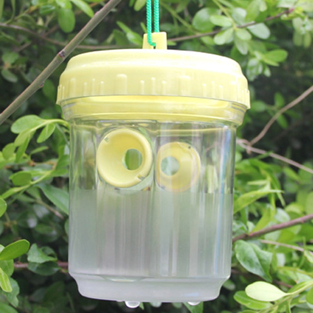 Trampa para Avispones, Atrapa  - Gardening Tools In Store reseña y precio