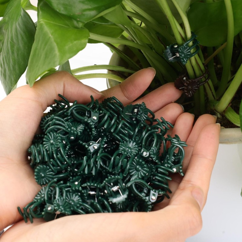 Clips de Soporte para Plantas  - Gardening Tools Wholesale reseña y precio