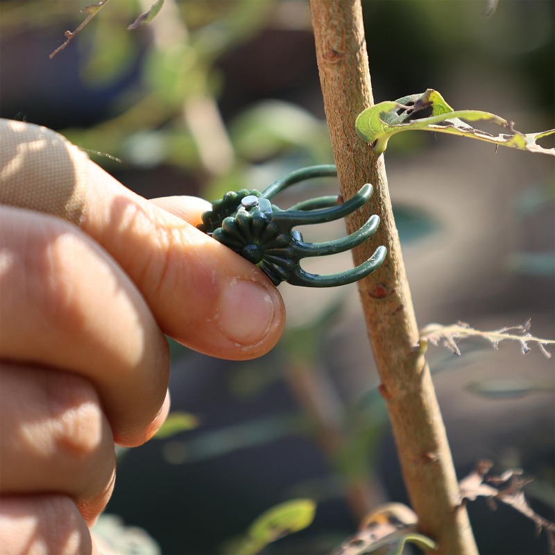 Clips de Soporte para Plantas  - Gardening Tools Wholesale reseña y precio