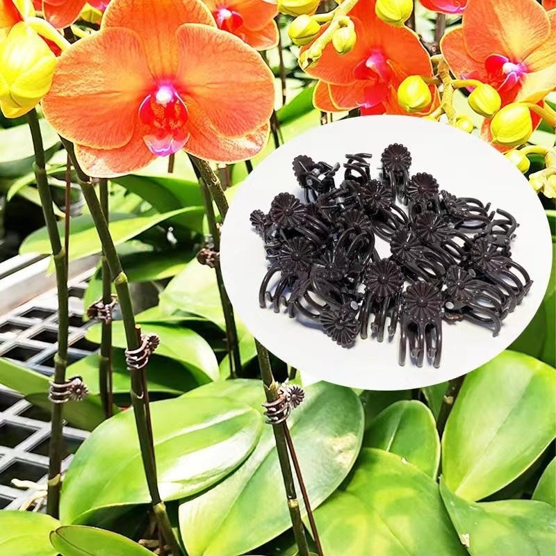 Clips de Soporte para Plantas  - Gardening Tools Wholesale reseña y precio