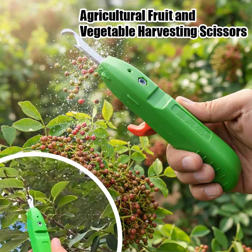 Tijeras para recoger frutas y  - Gardening Tools Wholesale reseña y precio