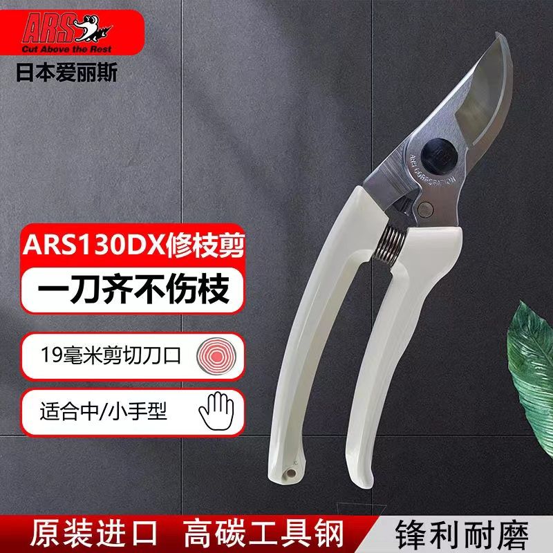 Tijeras de podar, herramientas - Gardening Tools Japan reseña y precio