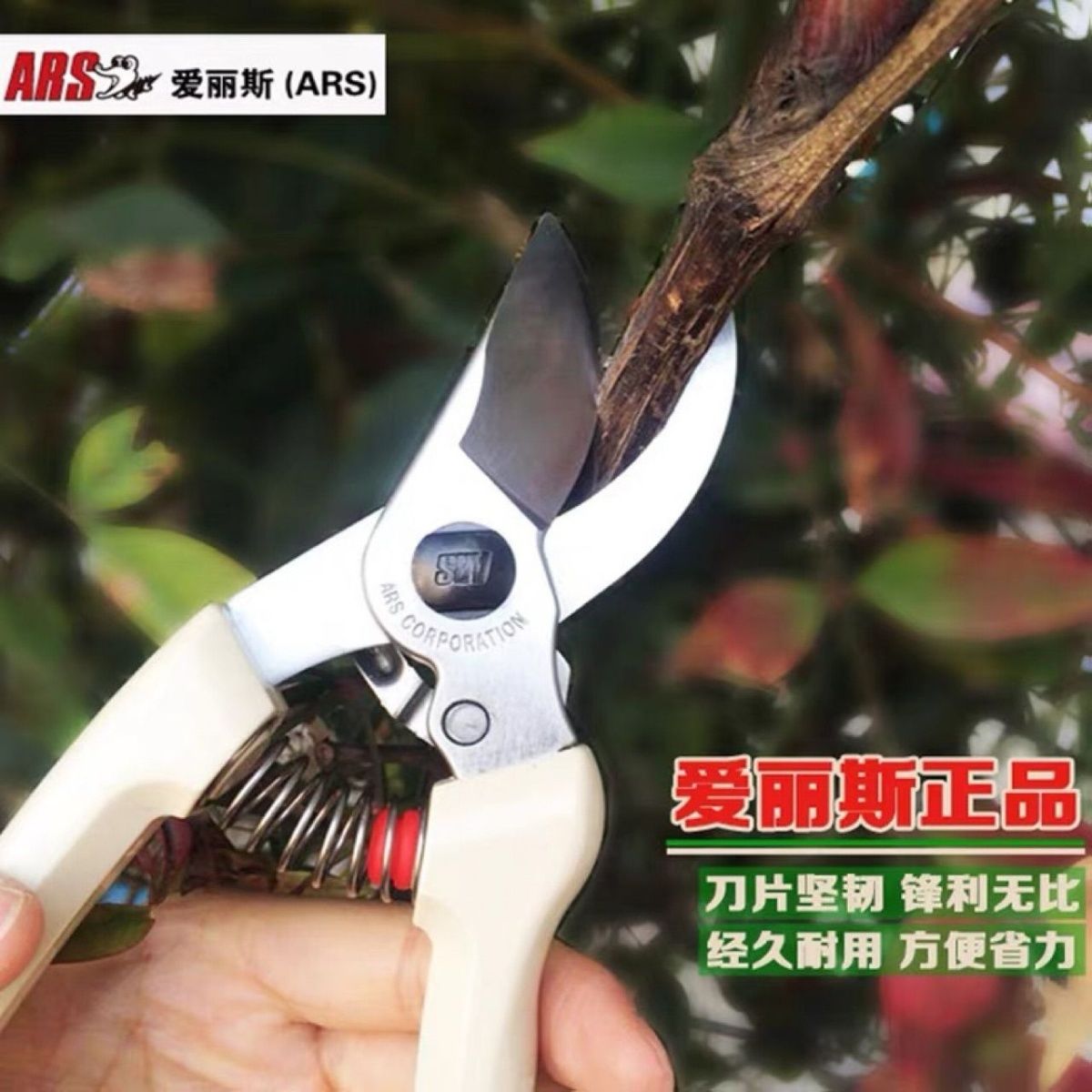 Tijeras de podar, herramientas - Gardening Tools Japan reseña y precio