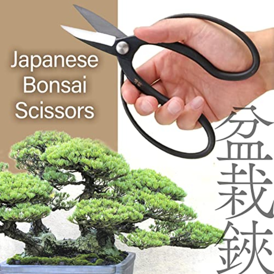 Tijeras Japonesas para Bonsái  - Gardening Tools Japan reseña y precio