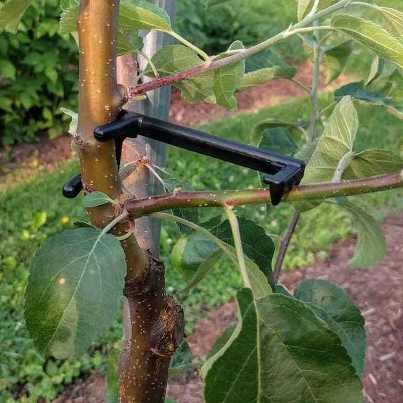 Extractor de ramas de árboles  - Root Watering Spike reseña y precio