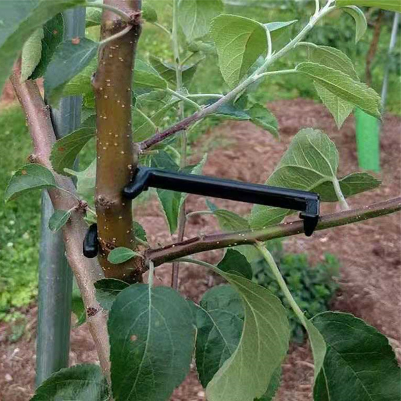 Extractor de ramas de árboles  - Root Watering Spike reseña y precio