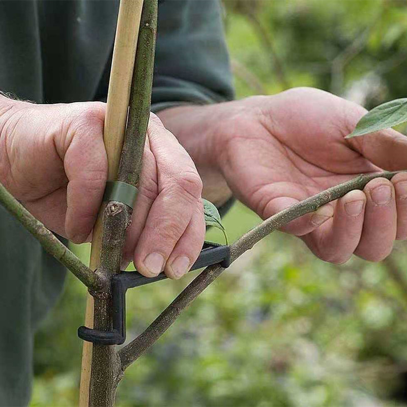 Extractor de ramas de árboles  - Root Watering Spike reseña y precio