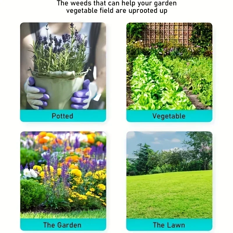 Cabezal de deshierbe negro, re - Gardening Tools To Remove Weeds reseña y precio