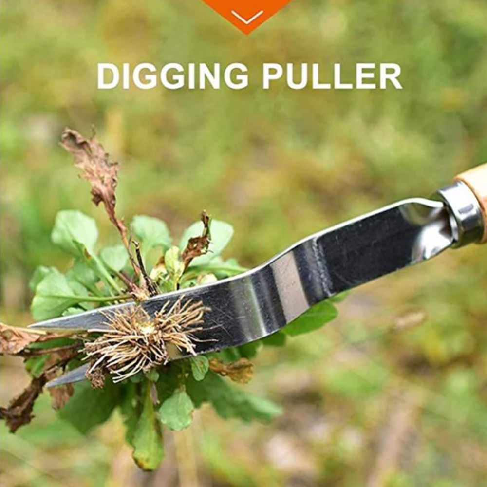 Deshierbe de jardín de acero i - Gardening Tools To Remove Weeds reseña y precio