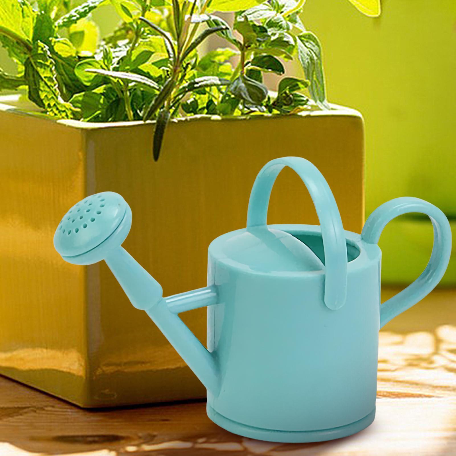 Mini regadera para niños, rega - Gardening Tools Toddler reseña y precio