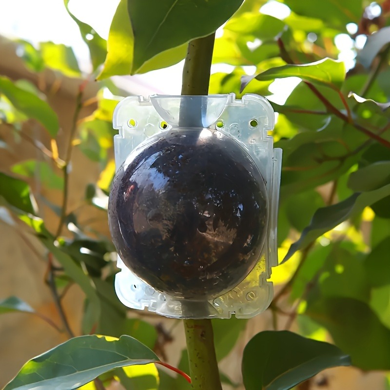 Kit de 10 Piezas para Propagac - Gardening Tools And Uses reseña y precio