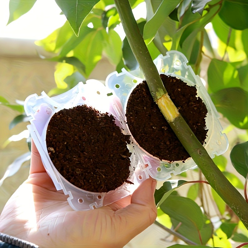 Kit de 10 Piezas para Propagac - Gardening Tools And Uses reseña y precio