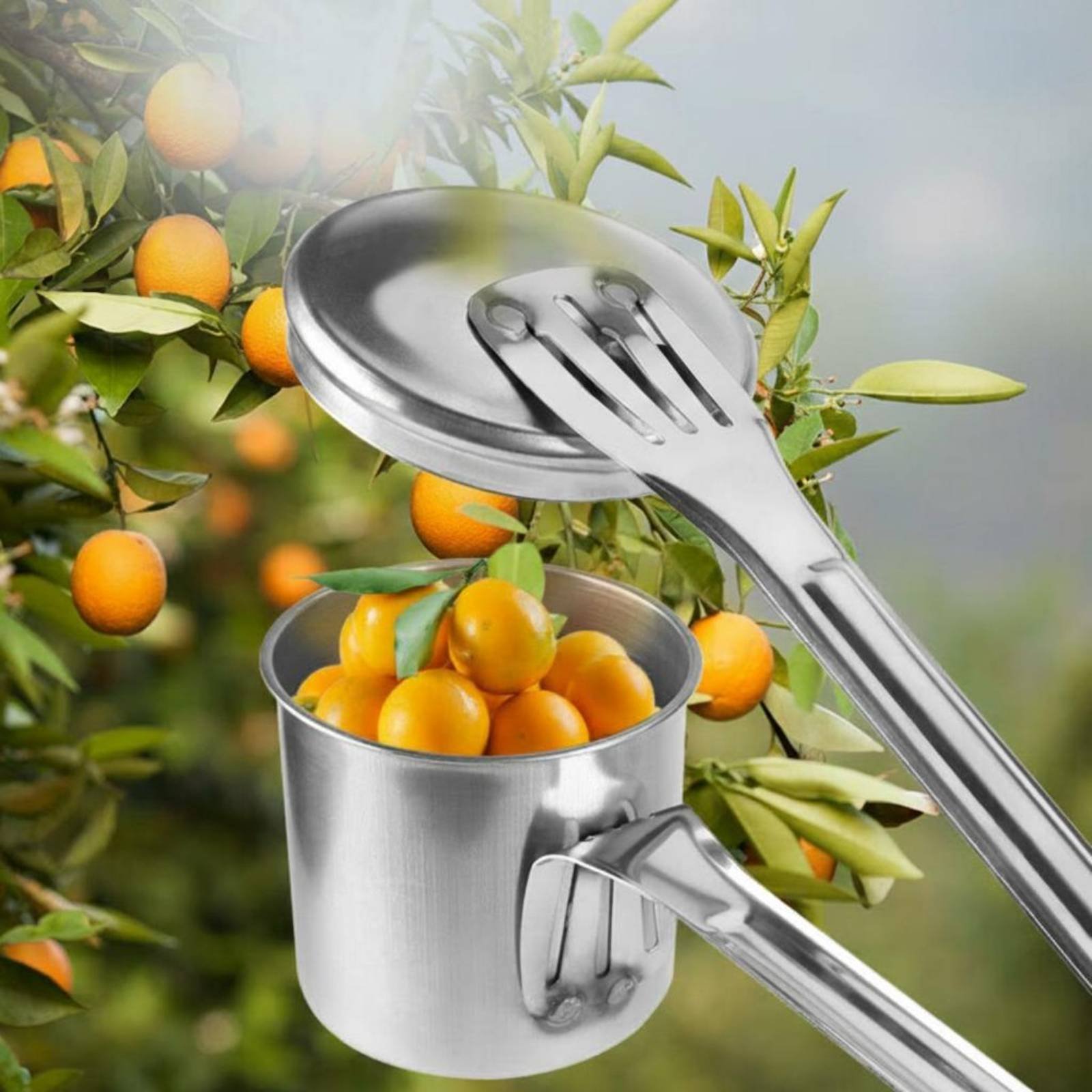 Recolector de Frutas de Acero  - Gardening Tools And Uses reseña y precio